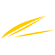 ASL Airlines France